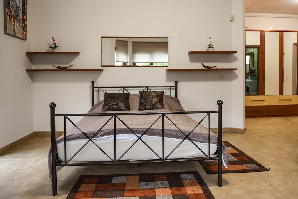 Modern Apartment Near City Center كلوج-نابوكا المظهر الخارجي الصورة